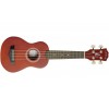 Arrow PB10 NT Natural Dark Top - ukulele sopranowe zestaw