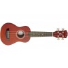 Arrow PB10 NT Natural Dark Top - ukulele sopranowe zestaw