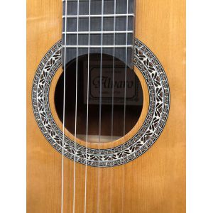 ALVARO 29 - gitara klasyczna + pokrowiec