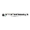 AER COMPACT CLASSIC PRO combo do gitary akustycznej