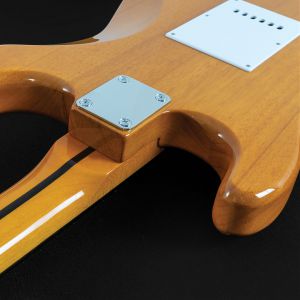 OSCAR SCHMIDT OS 300 (NH) gitara elektryczna (zestaw)