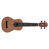 ALVAREZ RU 22 S ukulele