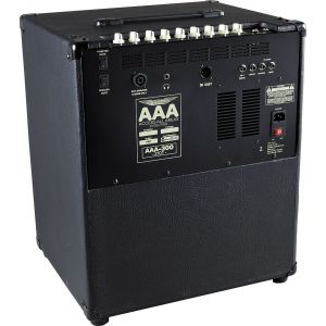 ASHDOWN AAA-300-210T combo basowe