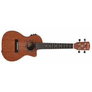 ALVAREZ RU 22 C CE ukulele