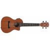 ALVAREZ RU 22 C CE ukulele