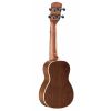 ALVAREZ AU 70 WS (N) ukulele