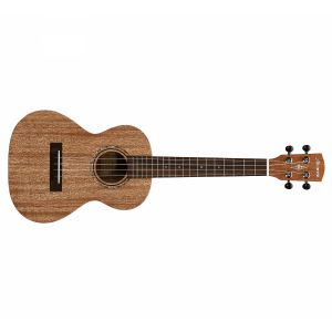ALVAREZ RU 22 T ukulele