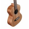 ALVAREZ RU 22 T ukulele