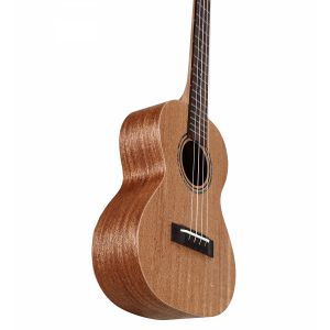 ALVAREZ RU 22 T ukulele