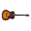 ARIA ARIA-101 (MTTS) gitara akustyczna