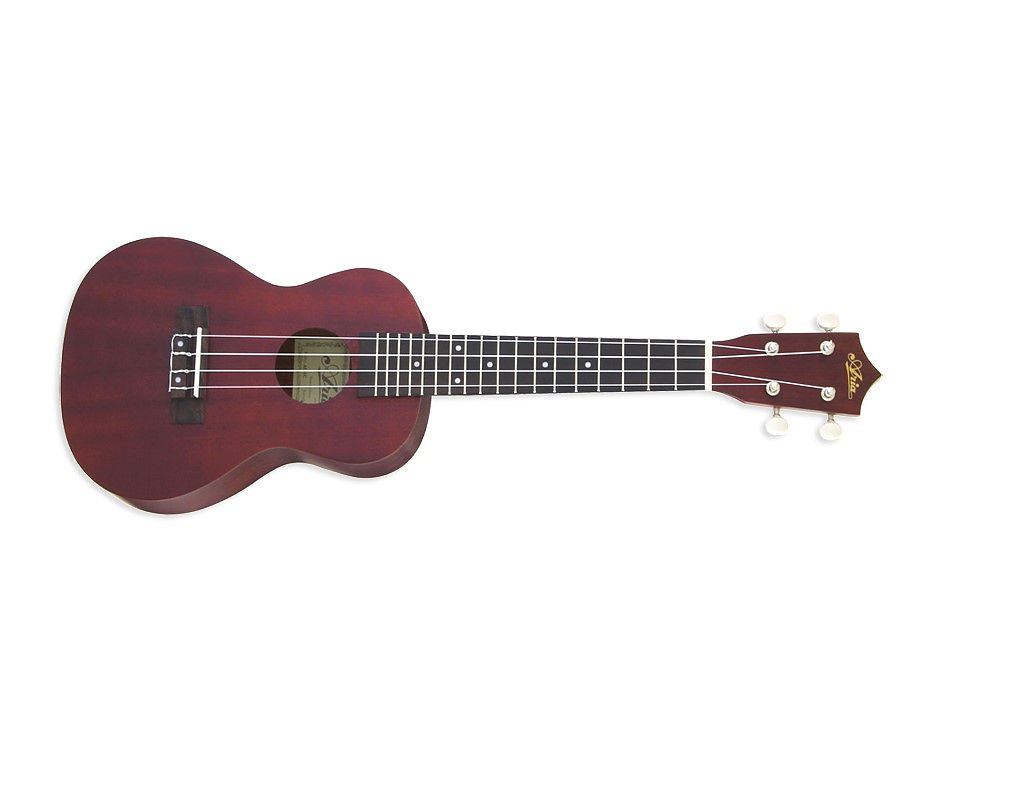 ARIA ACU-1 ukulele