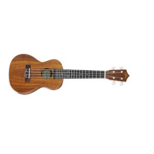 ARIA ACU-1K ukulele