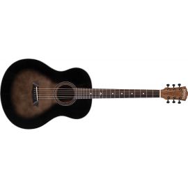 WASHBURN BTS 9 (CH) gitara akustyczna