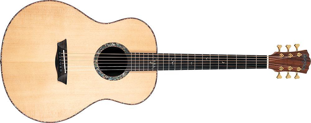 WASHBURN BTS 24 S (N) gitara akustyczna WASHBURN BTS 24 S (N) gitara akustyczna