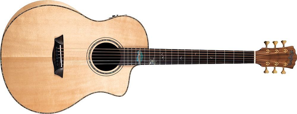 WASHBURN BTS C56 SCE (N) gitara elektroakustyczna WASHBURN BTS C56 SCE (N) gitara elektroakustyczna
