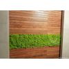 Green Acoustics- GA01 PRO 50x50 cm- panel akustyczny z mchu