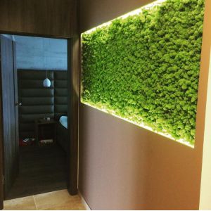 Green Acoustics- GA01 PRO 50x50 cm- panel akustyczny z mchu