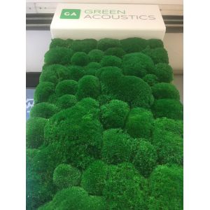 Green Acoustics- GA02 PRO 100x50 cm- panel akustyczny z mchu