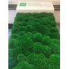 Green Acoustics- GA02 PRO 100x50 cm- panel akustyczny z mchu