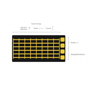 JOUE FRETBOARD- moduł