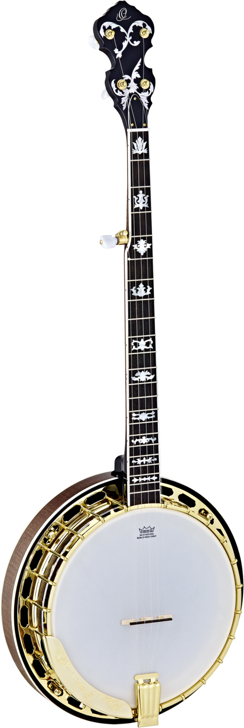 Ortega OBJ950-FMA - banjo