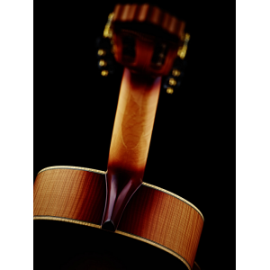 Ortega HONEYSUITE - Gitara klasyczna