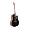 Flycat C200 BK SOLID TOP - gitara akustyczna