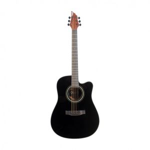 Flycat C200 BK SOLID TOP - gitara akustyczna