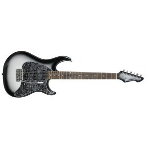 Peavey Raptor Custom Silverburst - gitara elektryczna