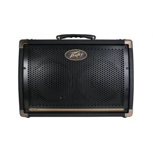 Peavey Ecoustic E 110 - wzmacniacz akustyczny 100 W