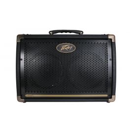 Peavey Ecoustic E 110 - wzmacniacz akustyczny 100 W
