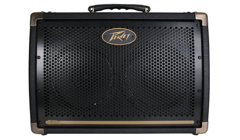 Peavey Ecoustic E 110 - wzmacniacz akustyczny 100 W