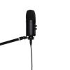 Stagg SUSM60D -  mikrofon pojemnościowy USB + statyw