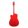 FLYCAT C100 TRD CEQ - gitara elekro-akustyczna