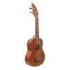 Flycat C10C - ukulele koncertowe