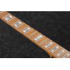 Ibanez THBB10 - gitara elektryczna