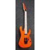 Ibanez RG565-FOR - gitara elektryczna