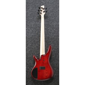 Ibanez ANB205-TWB - gitara basowa