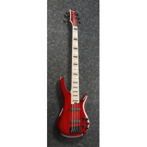 Ibanez ANB205-TWB - gitara basowa