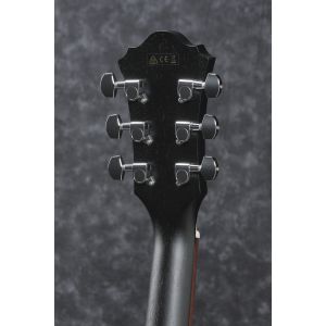 Ibanez AE295-WK - gitara akustyczna