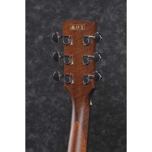 Ibanez PF10CE-OPN - gitara akustyczna
