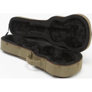 Ibanez FS40UC - case