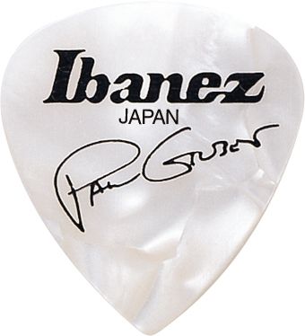 Ibanez B1000PG-PW - kostka gitarowa Ibanez B1000PG-PW - kostka gitarowa