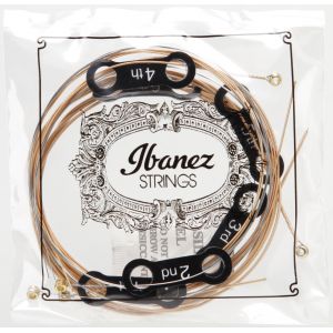 Ibanez IACSP61C - struny do gitary