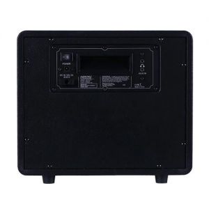 Mooer Hornet Black DH 01 - wzmacniacz gitarowy 15W