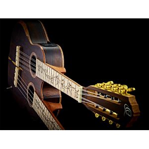 Ortega HYDRA-ZS - ukulele sopranowe