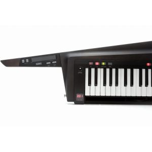 KORG RK-100S2 BLACK - keytar