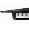 KORG RK-100S2 BLACK - keytar