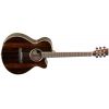 TANGLEWOOD DBT SFCE EAB - gitara elektro-akustyczna