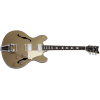 Schecter CORSAIR G.Gold - gitara elektryczna